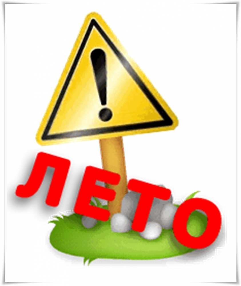 leto_2.jpg